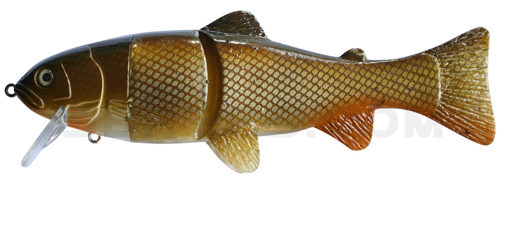 Castaic-Real-Bait - 12" (ca. 30,5cm) floater im Hartschalenblister Carp