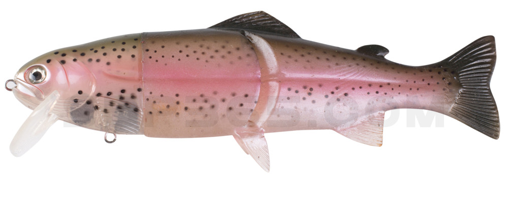 Castaic-Real-Bait - 12" (ca. 30,5cm) floater im Hartschalenblister Ghost Rainbow-Trout