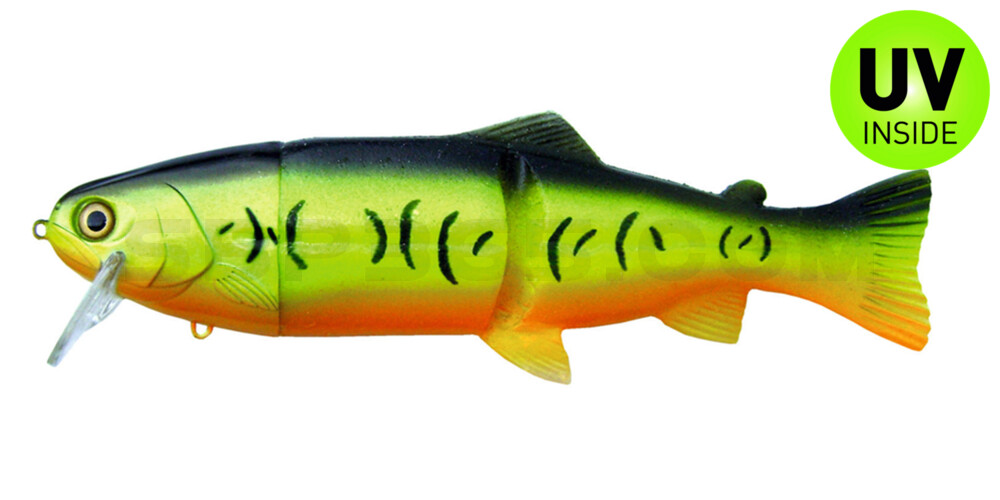 Castaic-Real-Bait - 12" (ca. 30,5cm) slow sinking im Hartschalenblister Firetiger