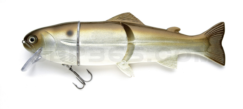 Castaic-Real-Bait - 12" (ca. 30,5cm) slow sinking im Hartschalenblister Green Shad