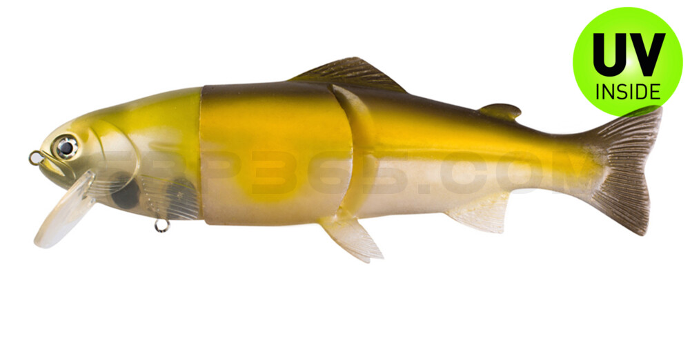 Castaic Real Bait - 6" (ca. 15cm) floater im Hartschalenblister Ghost AYU