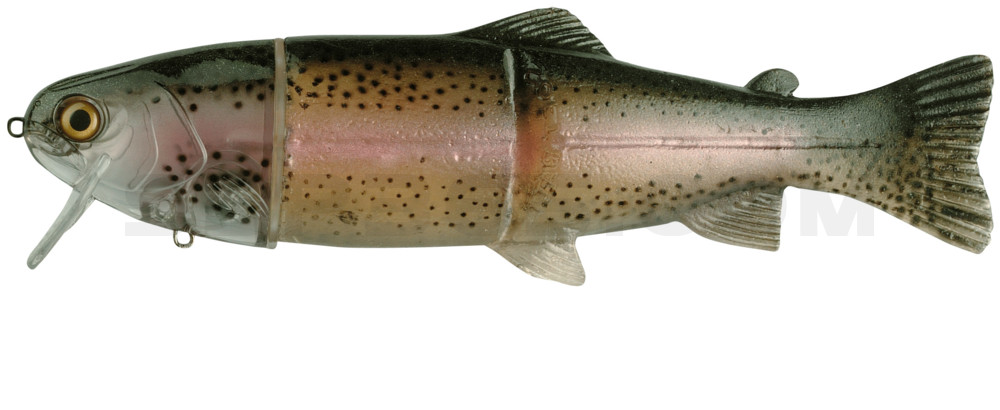 Castaic Real Bait - 6" (ca. 15cm) floater im Hartschalenblister Ghost Rainbow-Trout