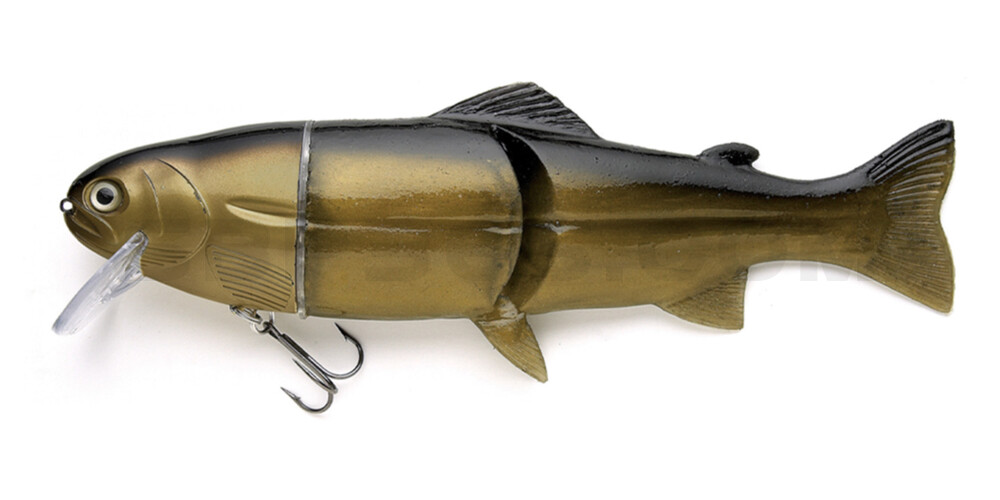 Castaic Real Bait - 6" (ca. 15cm) floater im Hartschalenblister Golden Shiner