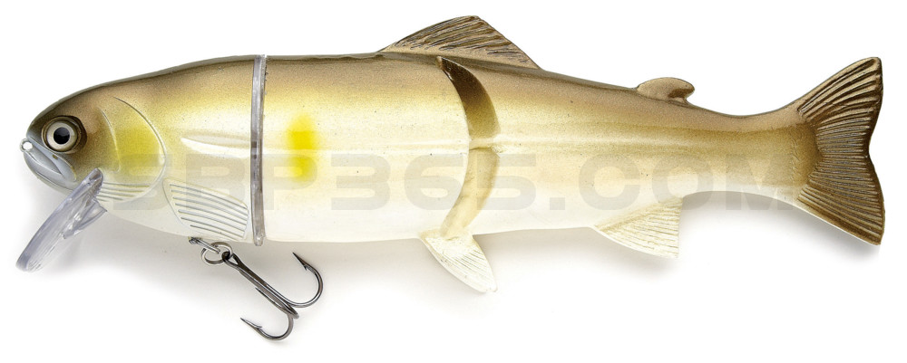 Castaic-Real-Bait - 6" (ca. 15cm) slow sinking AYU