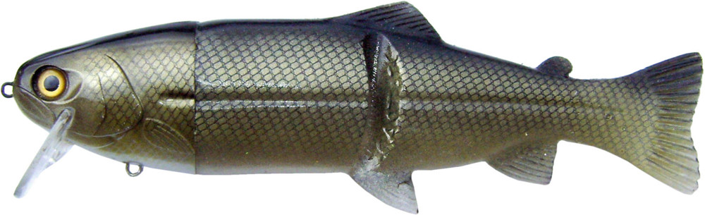 Castaic-Real-Bait - 6" (ca. 15cm) slow sinking Roach-Gold