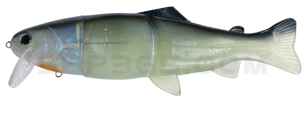 Castaic Real Bait 8"(20cm) im Hartschalenblister Blue Gill - floating