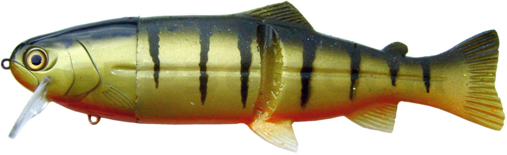 Castaic Real Bait 8"(20cm) im Hartschalenblister Perch Orange - floating