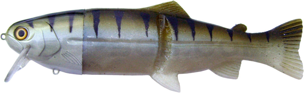 Castaic-Real-Bait - 9" (ca. 23cm) floater im Hartschalenblister Zander