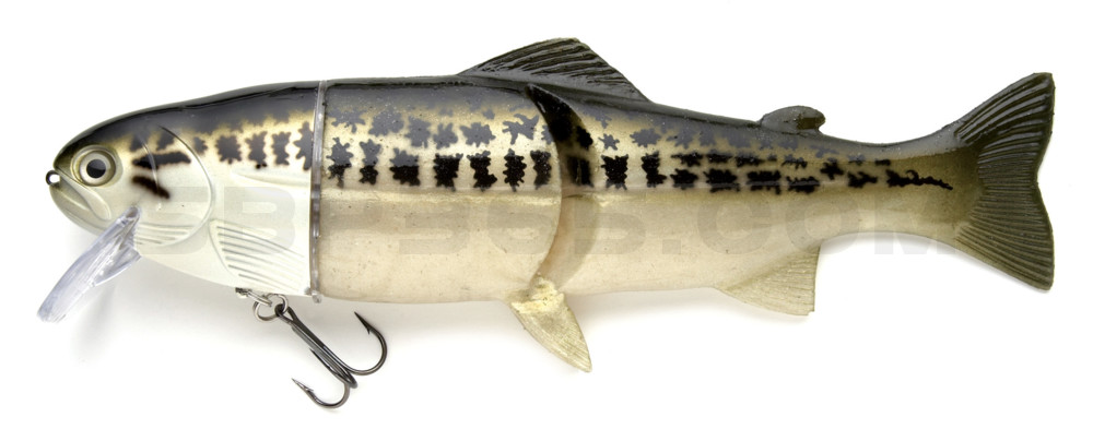 Castaic-Real-Bait - 9" (ca. 23cm) slow sinking im Hartschalenblister Baby Bass