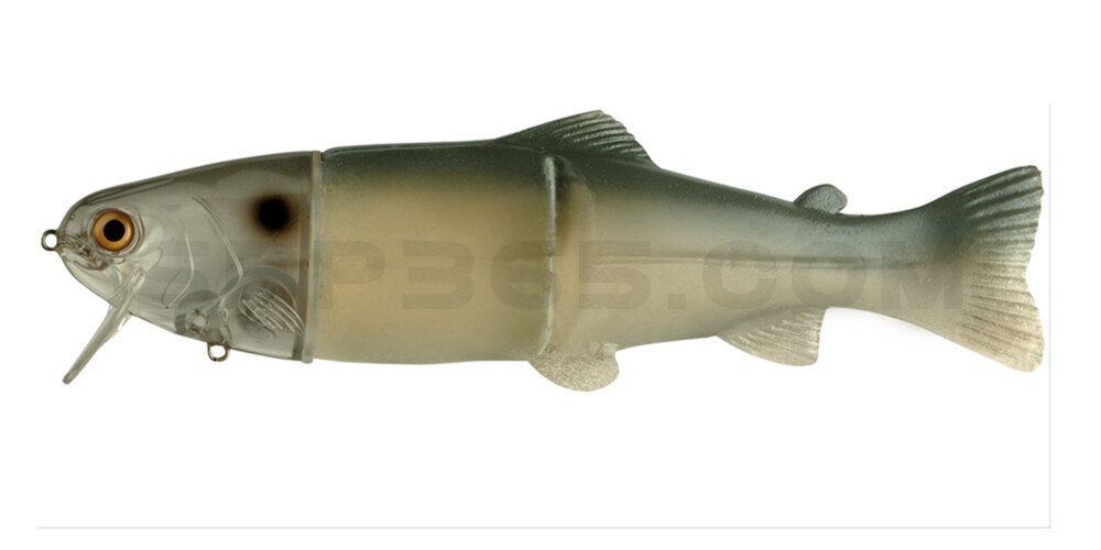Castaic-Real-Bait - 9" (ca. 23cm) slow sinking im Hartschalenblister Ghost Blue Shad