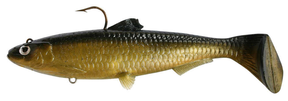 Castaic-Swim-Bait-Sardine-18cm-Gold. Shiner im Hartschalenblister sinking