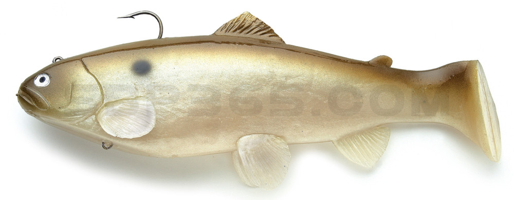 Castaic-Swim-Bait-Trout- 4" (ca. 10cm) sinking im Hartschalenblister Green Shad