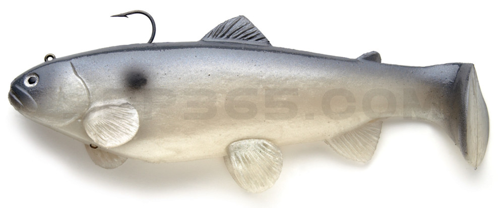 Castaic-Swim-Bait-Trout- 6" (15cm) sinking im Hartschalenblister Blue Shad