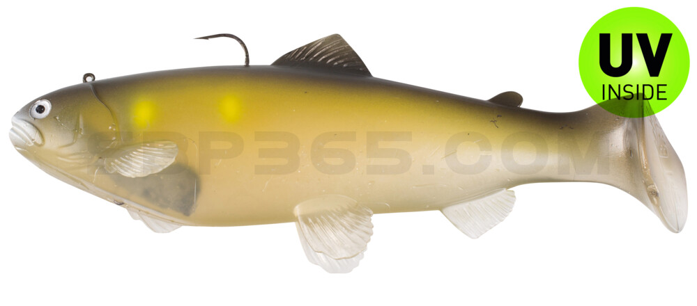 Castaic-Swim-Bait-Trout- 6" (15cm) sinking im Hartschalenblister Ghost AYU