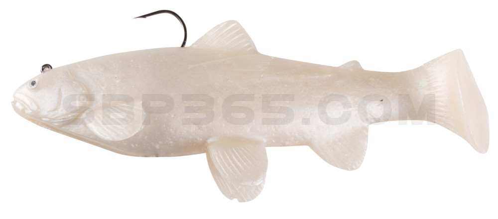 Castaic-Swim-Bait-Trout- 8" (20cm) sinking im Hartschalenblister Albino