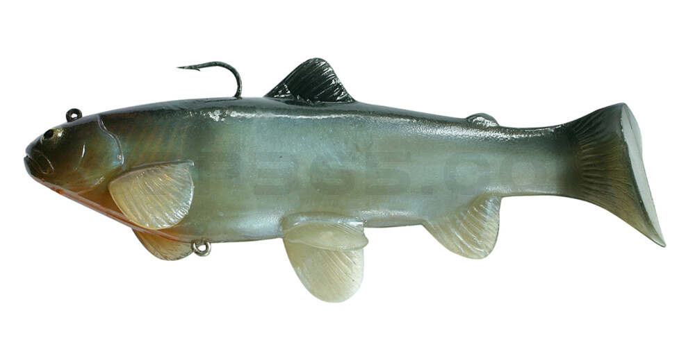 Castaic-Swim-Bait-Trout- 8" (20cm) sinking im Hartschalenblister Blue Gill