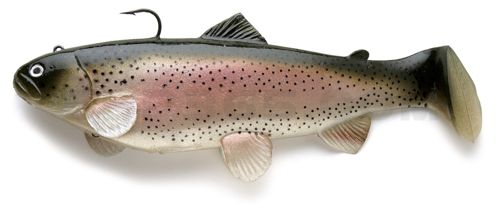 Castaic-Swim-Bait-Trout- 8" (20cm) sinking im Hartschalenblister Rainbow Trout