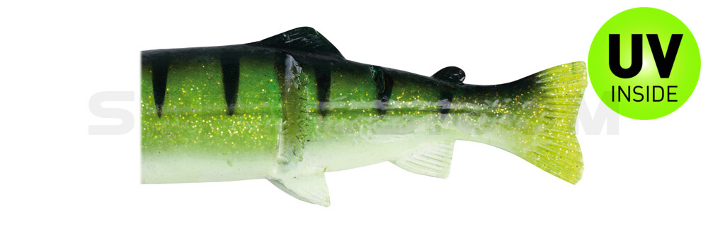 Ersatzkörper für Castaic-Real-Bait - 15cm Reno Perch White