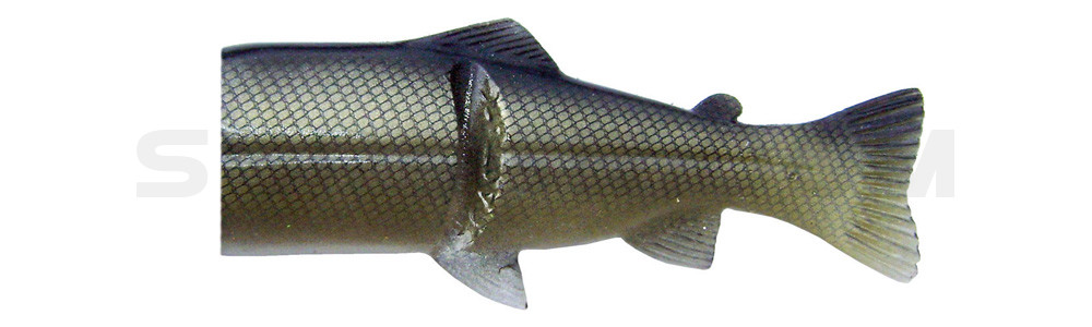 Ersatzkörper für Castaic-Real-Bait - 15cm Roach-Gold