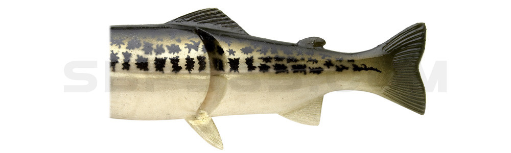 Ersatzkörper für Castaic-Real-Bait - 23cm Baby Bass
