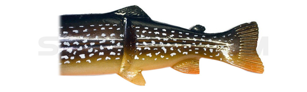 Ersatzkörper für Castaic-Real-Bait - 23cm Northern Pike