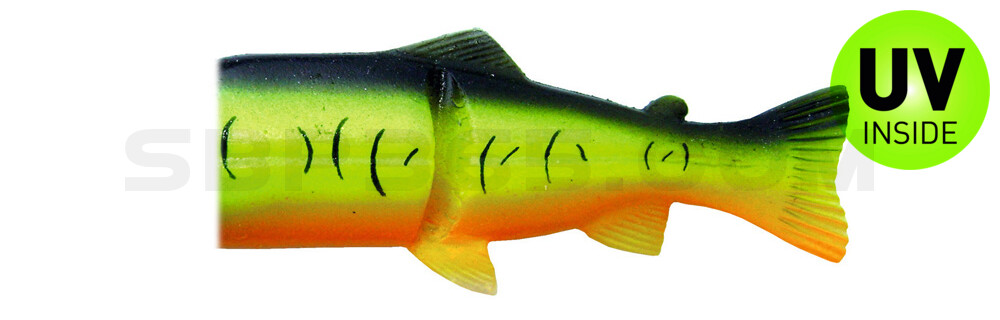 Ersatzkörper für Castaic-Real-Bait - 8" (20cm) Firetiger