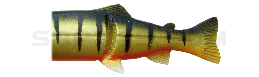 Ersatzkörper für Castaic-Real-Bait - 8" (20cm) Perch Orange