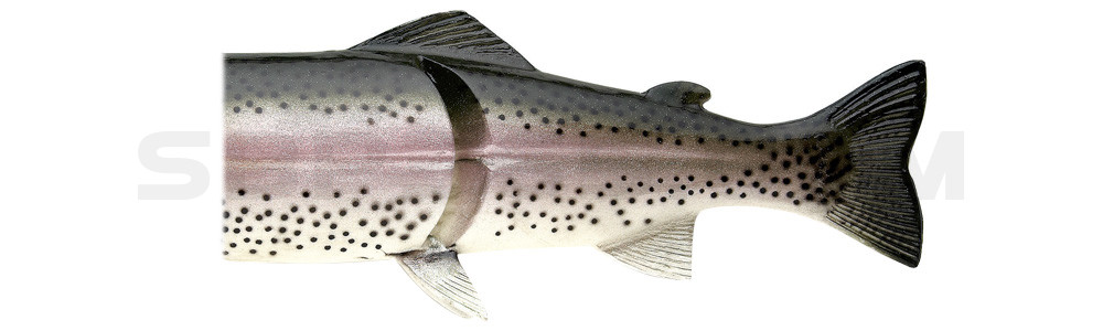 Ersatzkörper für Castaic-Real-Bait - 8" (20cm) Rainbow Trout