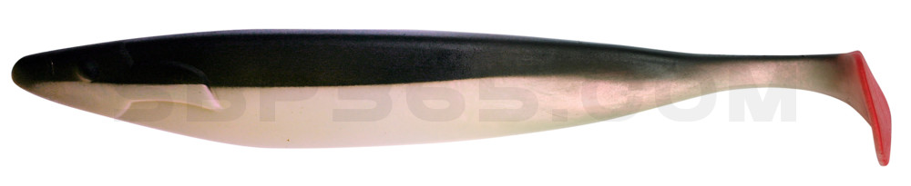 Megalodon 12" (ca. 30,0 cm) perl / schwarz