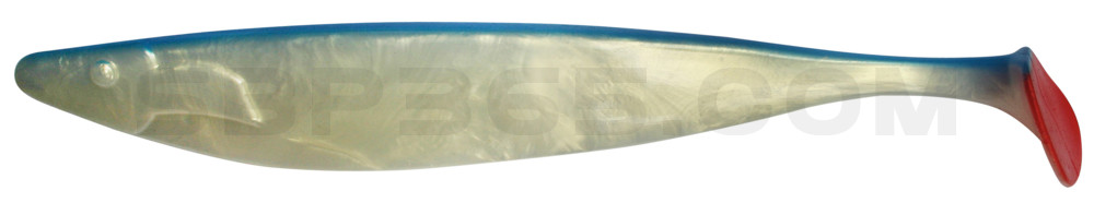 Megalodon 15" (ca. 40,0 cm) goldperl / blau