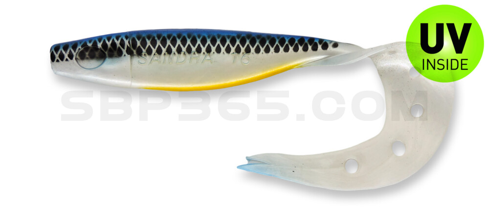 Sandra 6" (ca. 15 cm) perlweiss / blau / fluo Bauch / schwarz gestreift