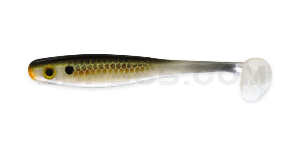 Suicide Shad 3,5" (ca. 9 cm) im Hartschalenblister Gillateen