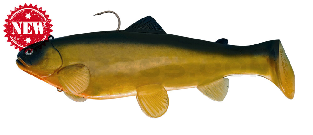 Swim-Bait-Trout - 10" (25cm) sinking Golden Shiner