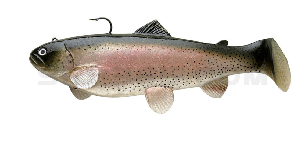 Swim-Bait-Trout - 10" (25cm) sinking Rainbow Trout