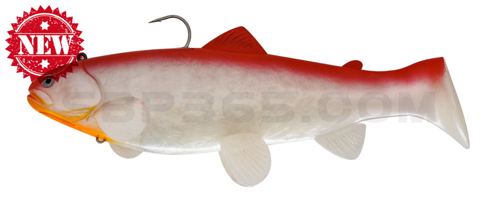 Swim-Bait-Trout - 10" (25cm) sinking Red Shad